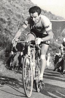 Massignan imerio jml2